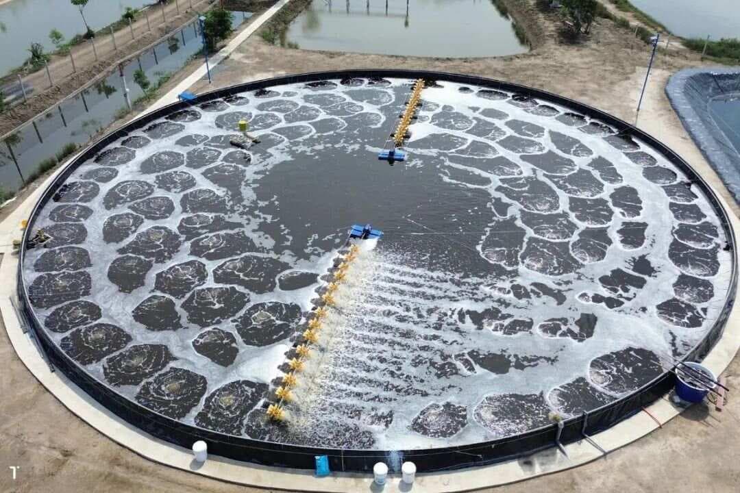 智能水产养殖技术：四大核心技术如何推动产业升级？