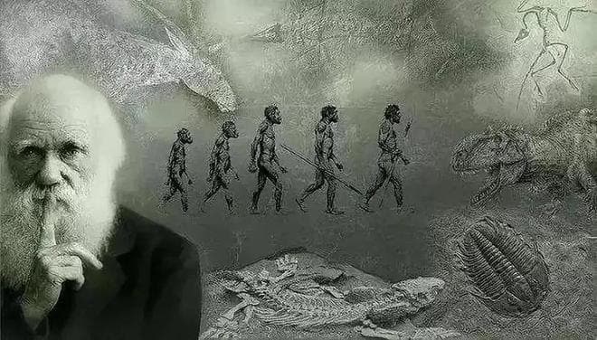 人类真的是进化来的吗？科学证据告诉你答案