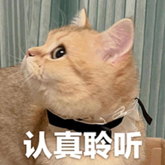 过年相亲时，如何避免尬聊？网友：掏空了表情包库...