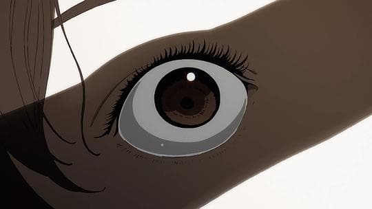《漂流少年》：一部值得深思的高分动画