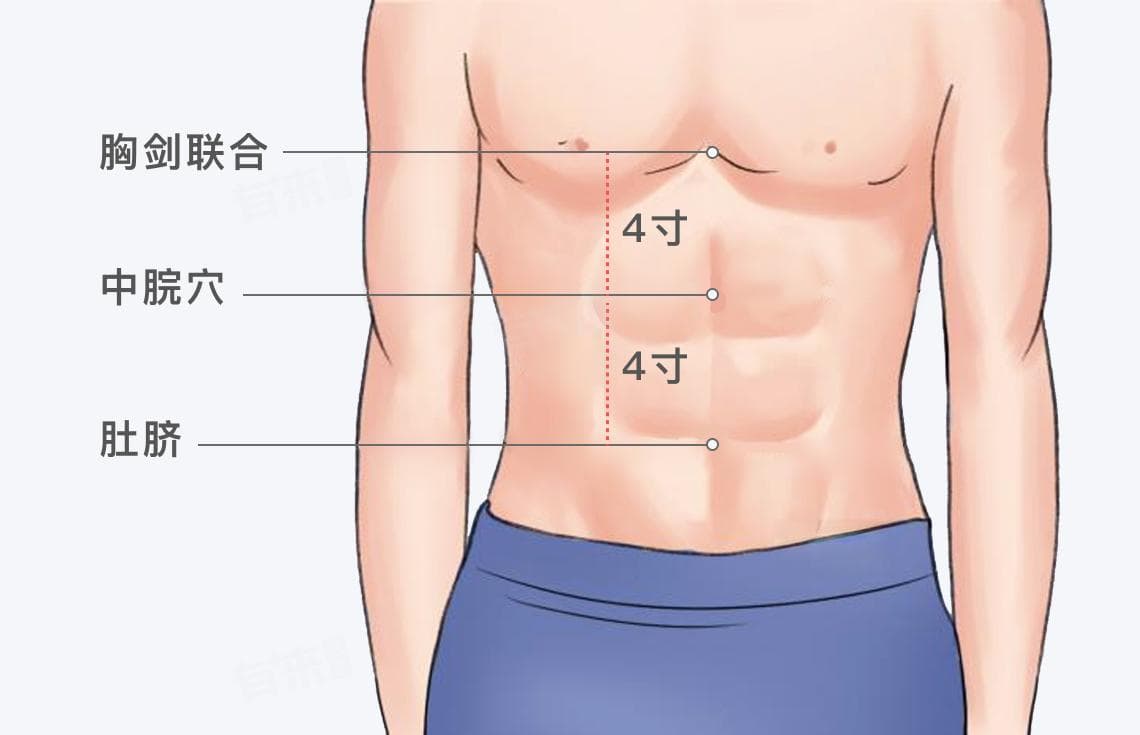 中脘穴的位置、功效与操作方法详解