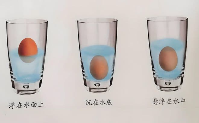 3秒速测鸡蛋新鲜度：一杯水轻松揭秘，结果惊人