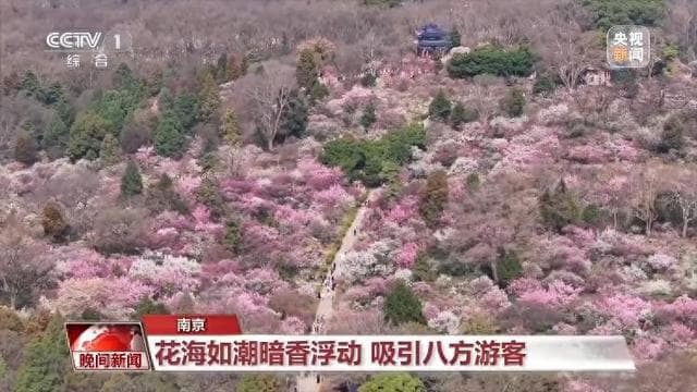 春天就是要看花花花花花，热门春游目的地藏在这里