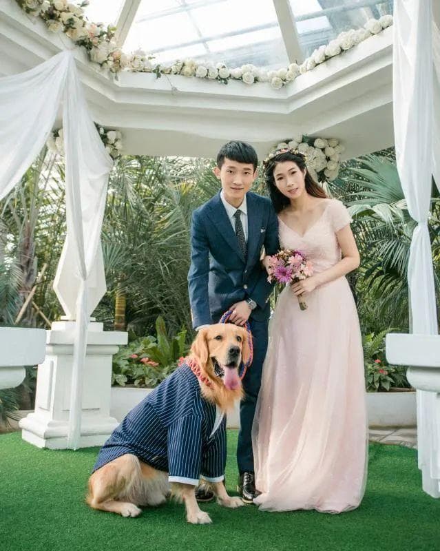 不起早，无车队……这届哈尔滨年轻人的婚礼，和你想的不一样