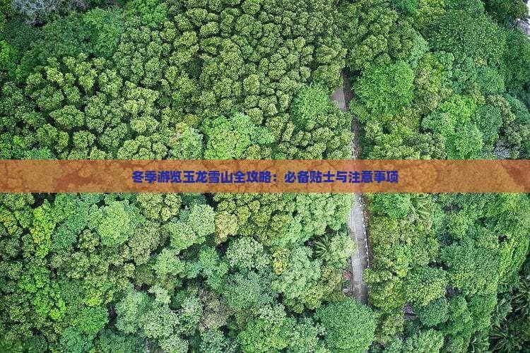 冬季游览玉龙雪山全攻略：必备贴士与注意事项