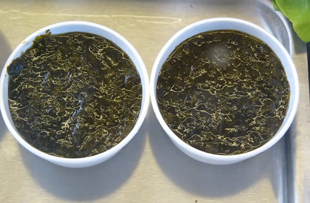 紫菜怎么洗：干紫菜清洗方法与注意事项