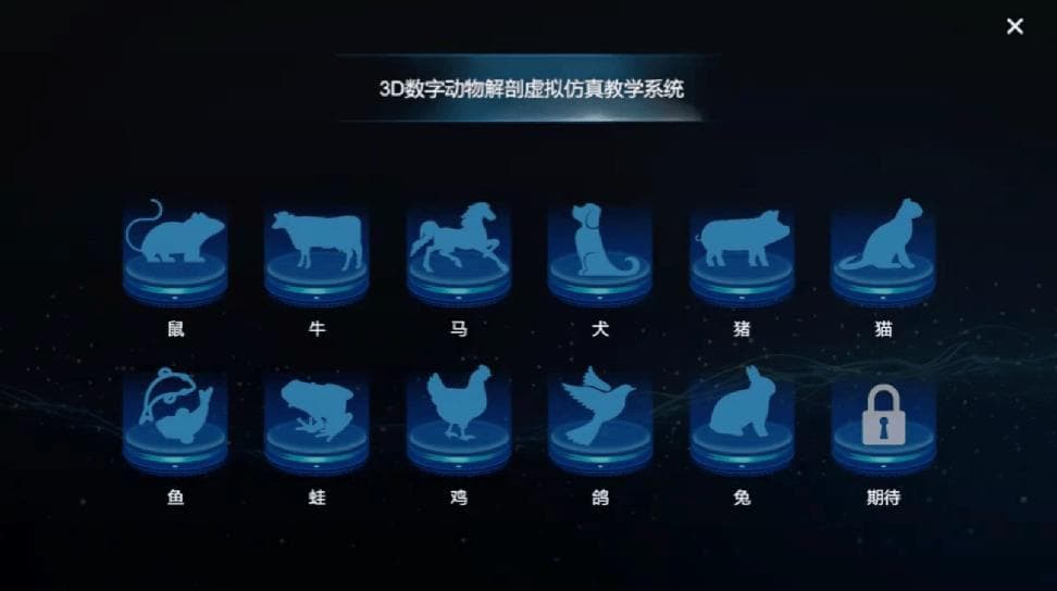 虚拟仿真技术：让解剖学教学焕发新生，无标本也能深度探索！