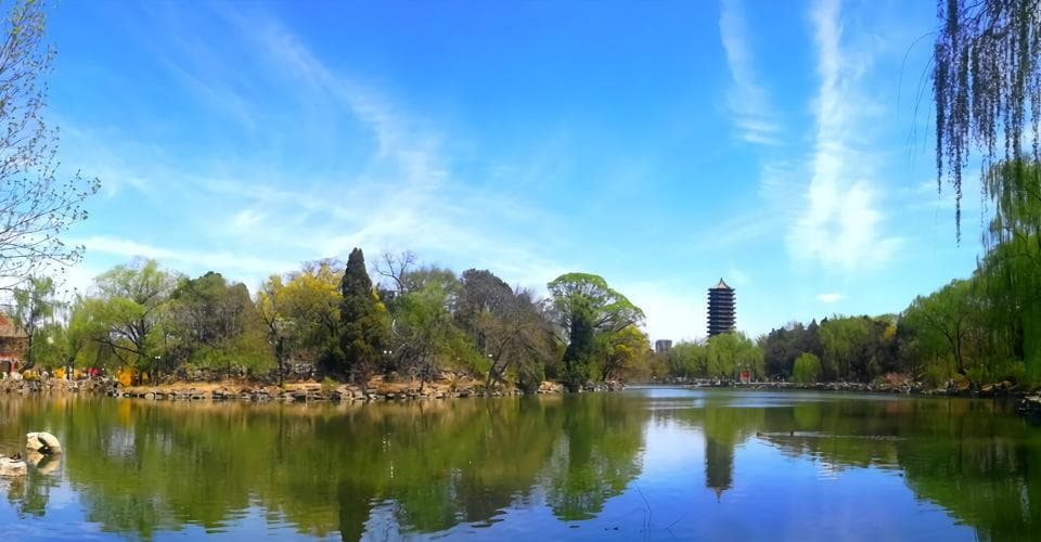 北京大学2024年"强基计划"与统招分数线对比分析