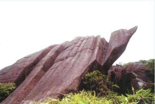 德化石牛山：“天下第一牛”
