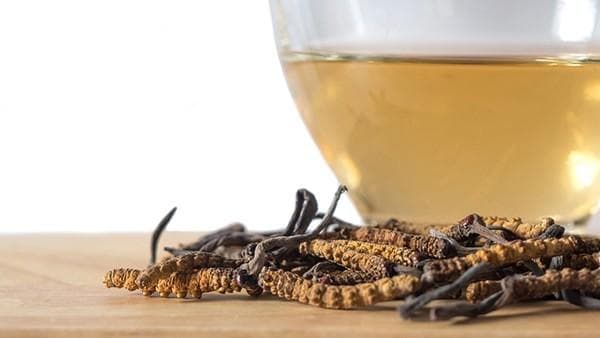 制附子的功效与作用：传统应用与现代研究