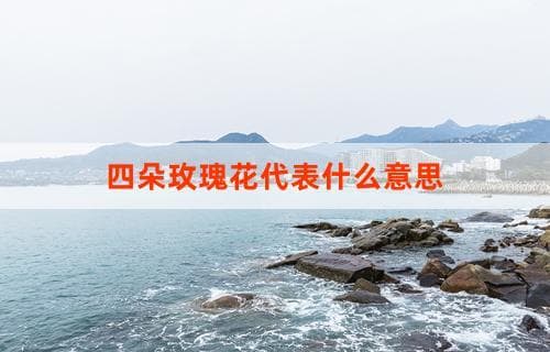 四朵玫瑰花的花语含义及其代表的意思