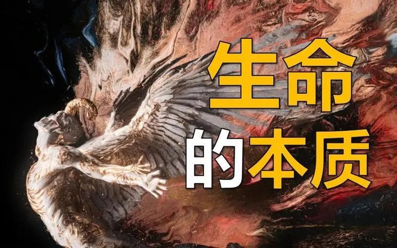 深层解读生命和死亡的本质，“你”到底是谁？