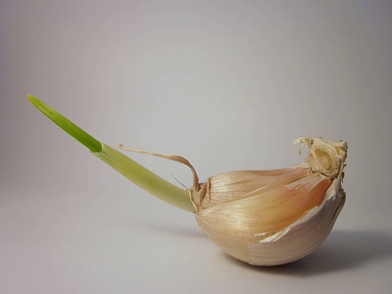 【医学小常识】翠绿的腊八蒜，吃法大揭秘