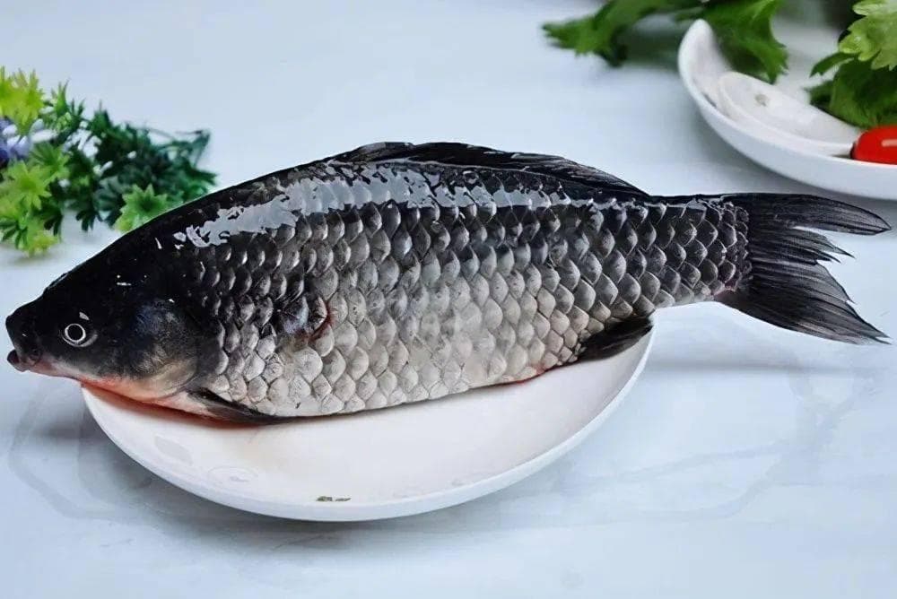 拯救低血糖：专家教你如何科学调整饮食