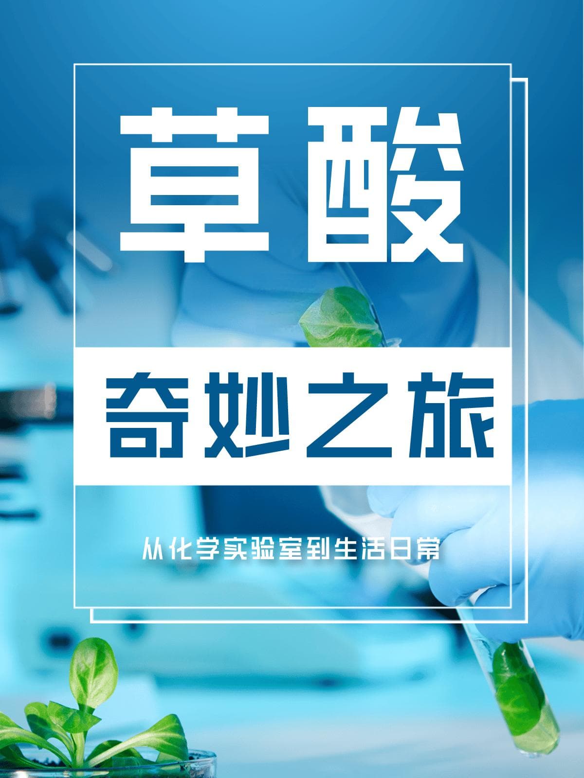 草酸的奇妙之旅：从化学实验室到生活日常