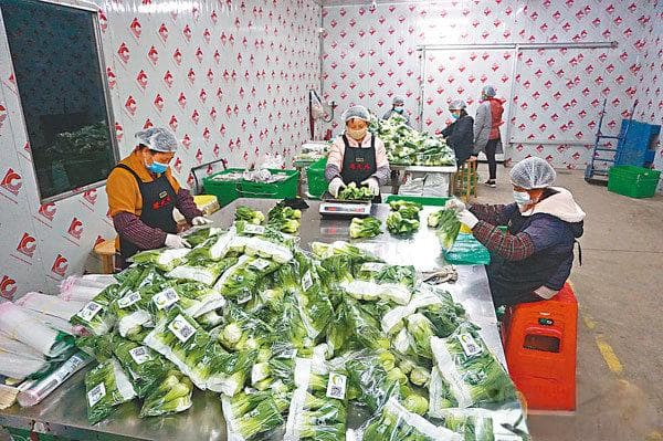 “菜篮子”供港基地增至962个