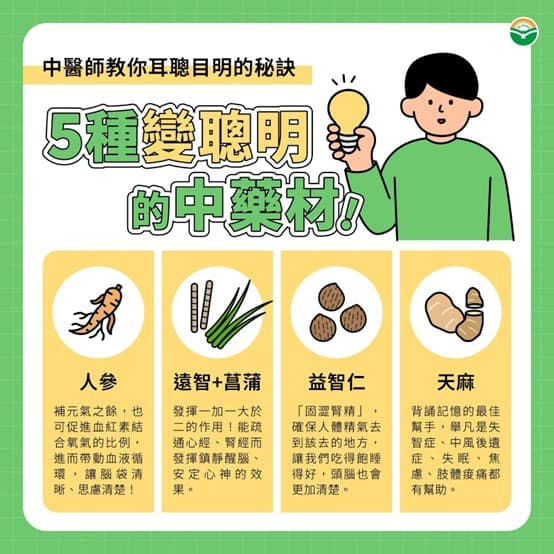 好想「變聰明」！中醫揭5種中藥材很給力 建議先從天麻雞湯燉來喝