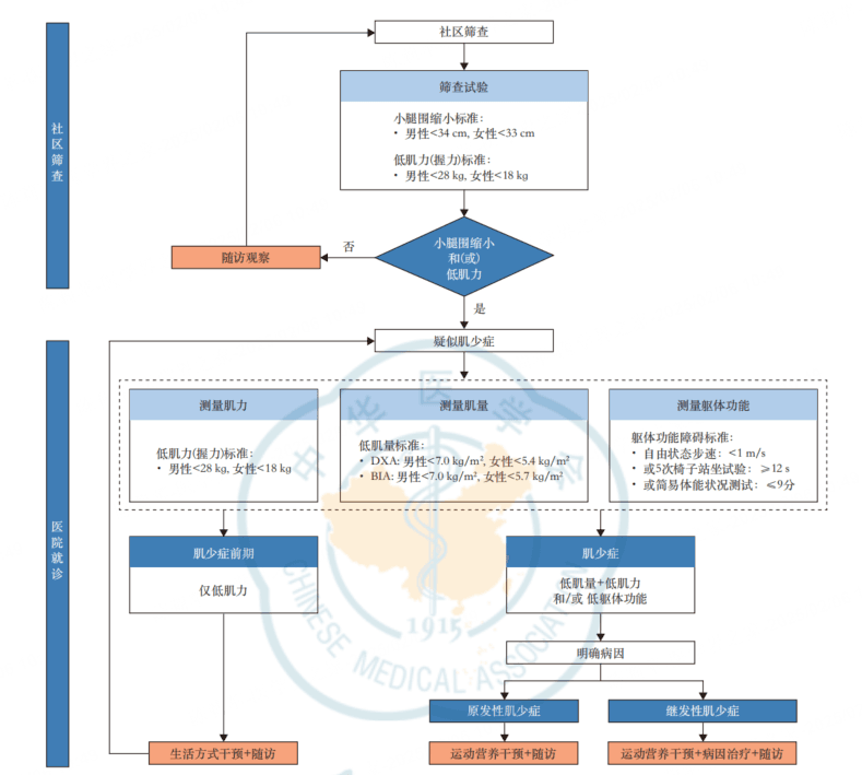 《中国肌肉减少症诊疗指南（2024版）》发布，开启肌少症诊疗新征程