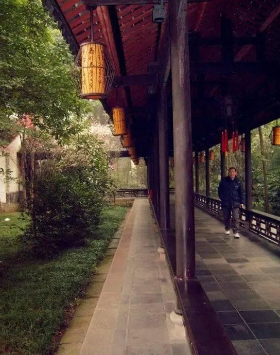 探寻杜甫足迹，漫步成都草堂