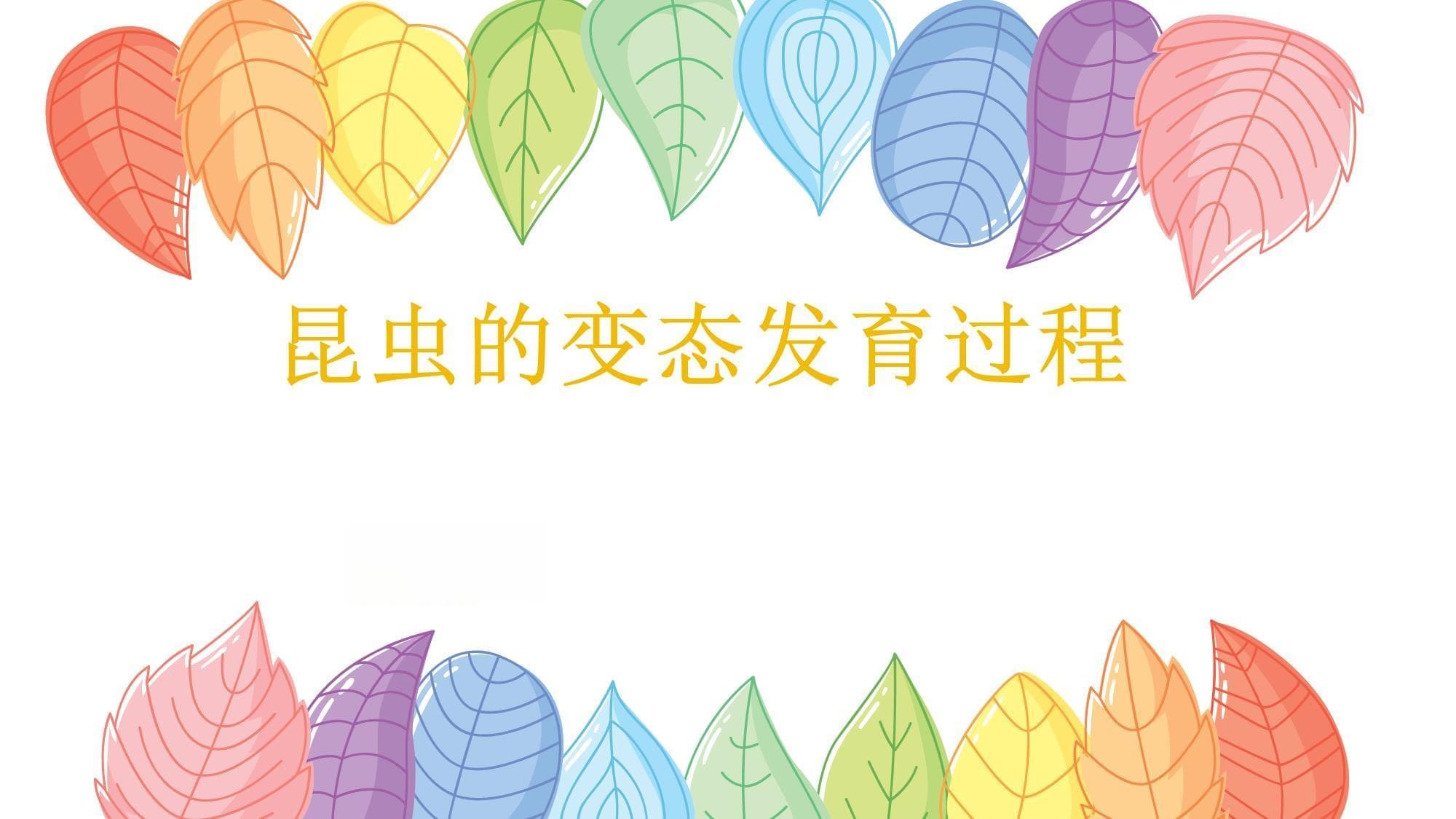 昆虫的变态发育过程