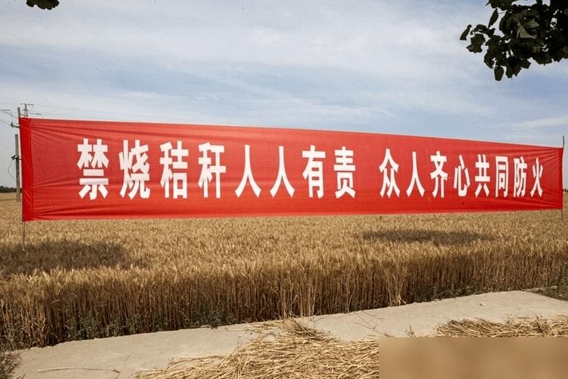 中国烧柴都不用的秸秆，为啥美国能一“杆”多用，我们能效仿吗