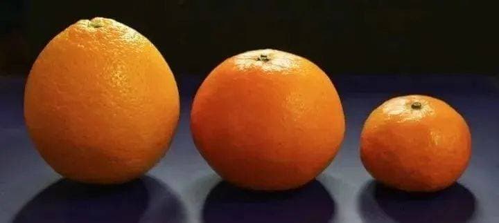 果觅鲜果|橘？柑？橙？这下终于分清谁是谁了！