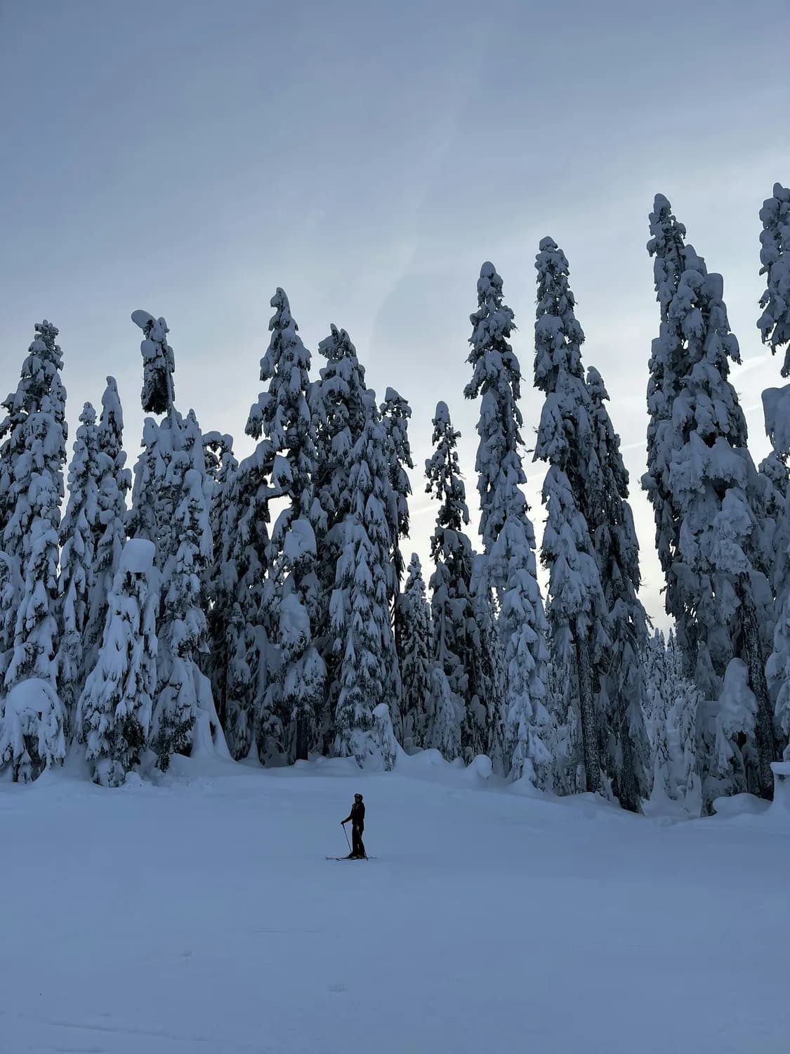 -52.3℃的挑战：漠河冬季旅游保暖装备指南