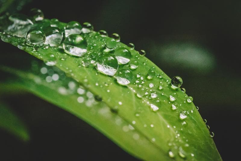 惊蛰：春天的觉醒与万物复苏