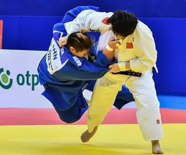 一文读懂柔道：从入门到精通的全方位解析