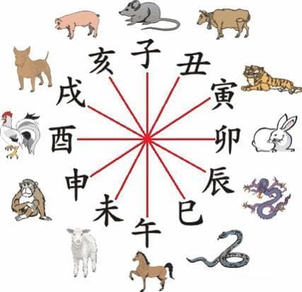 十二生肖与家宅风水：详解生肖五行属性与风水布局要点