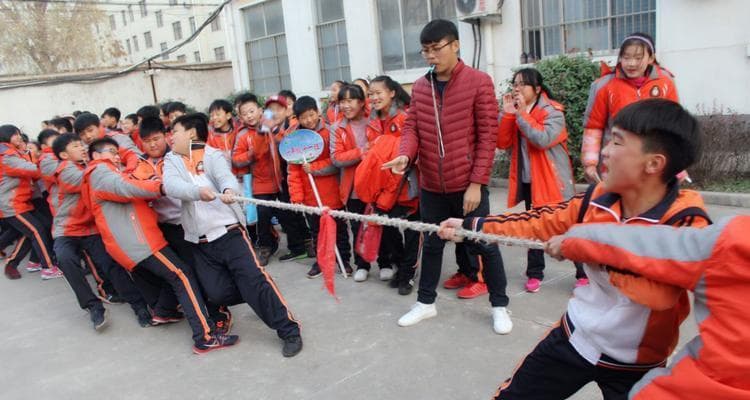 拔河比赛：一场关于团结与协作的生动诠释