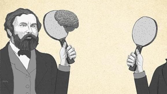 神经科学突破：微积分原理如何帮助大脑实现快速停止