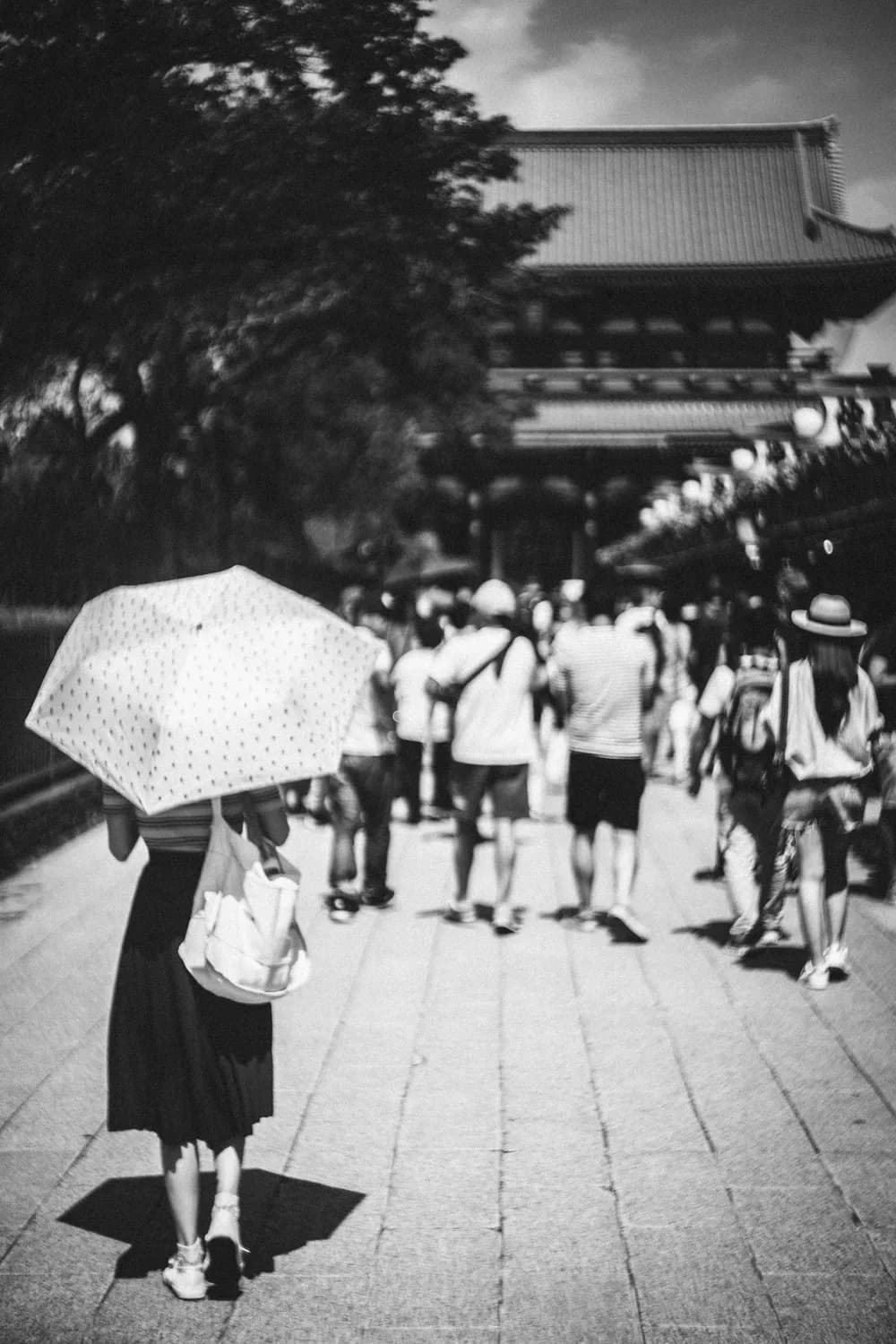 西安高温橙警！这份安全旅游攻略请收好