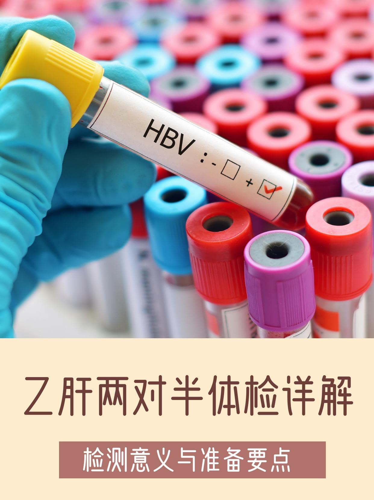 乙肝两对半体检详解：检测意义与准备要点