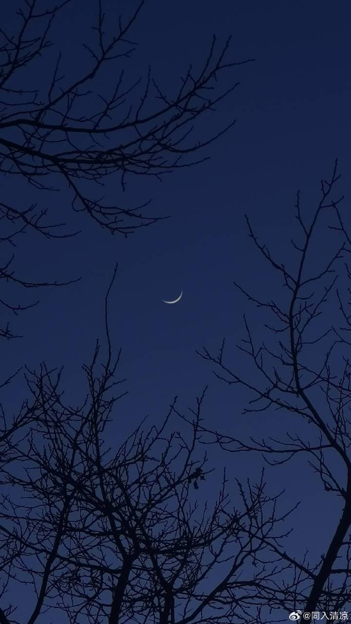 认识佛性、自性、空性