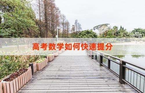 高考数学快速提分：六大策略助你突破高分