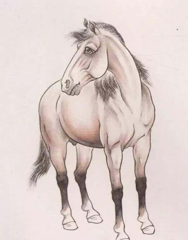 工笔马画法详解：从勾线到着色的完整教程
