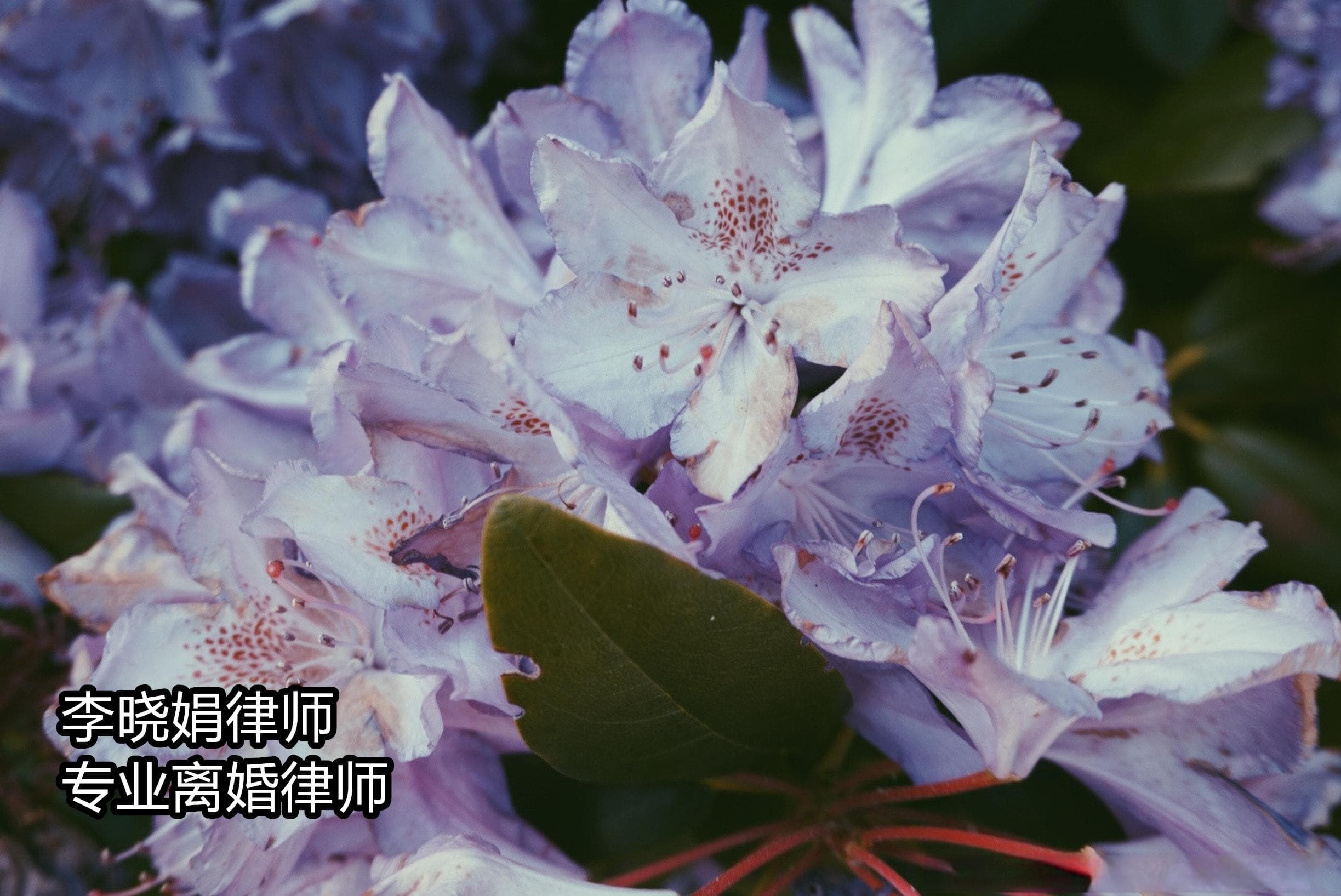 赠与财产后子女不孝，父母如何保障自身权益？