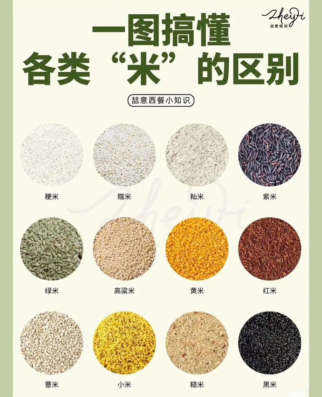一图看懂各类米的区别
