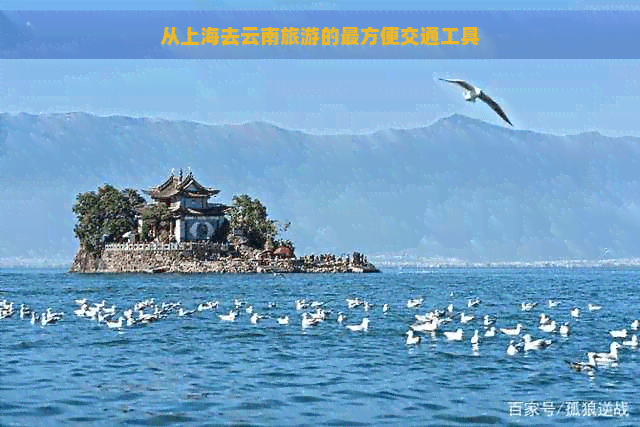 从上海去云南旅游的最方便交通工具