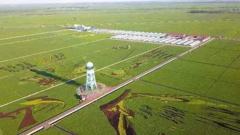 农业生产新格局正在形成！农业气候资源普查与区划试点工作初探