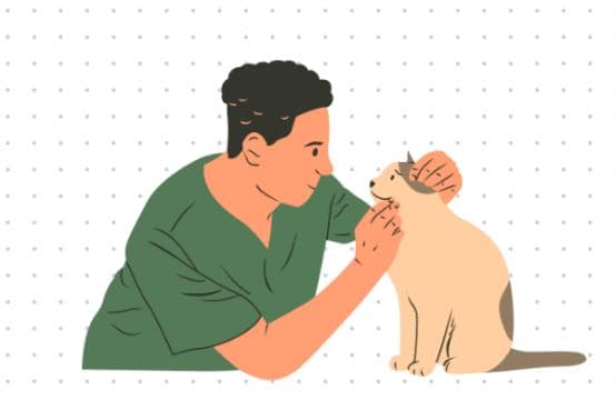 小猫呕吐是什么原因？快速自查&解决！