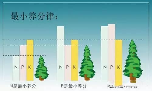 肥料基础知识汇总（图文并茂版）超级实用！