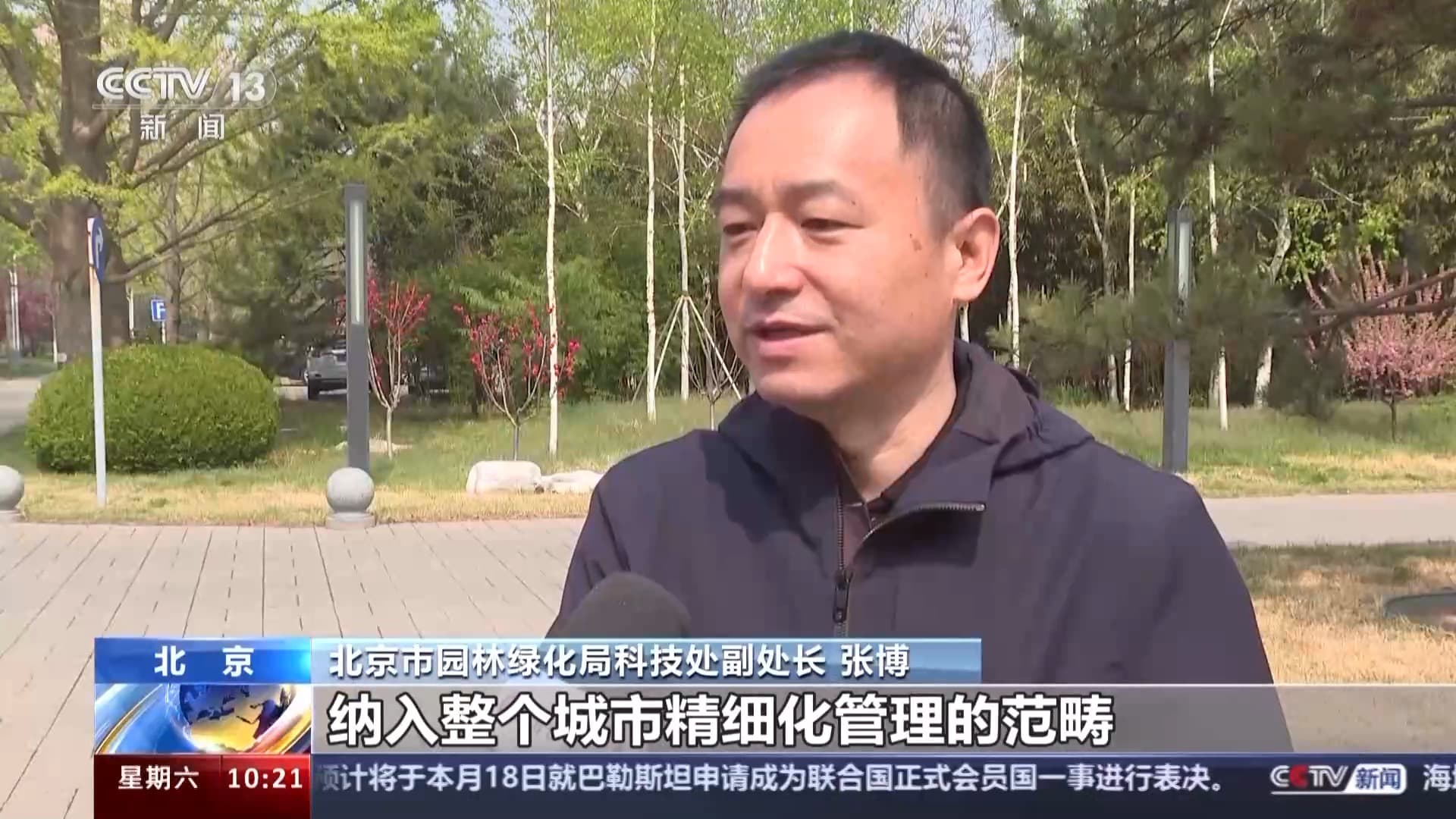 北方多地进入杨柳飞絮高发期 如何科学治理？