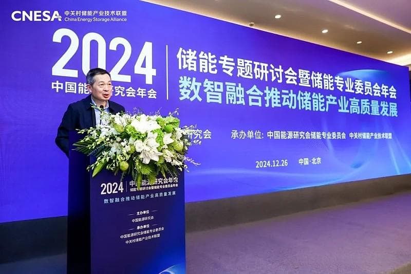 CNESA理事长陈海生：数智融合将成储能产业发展新引擎