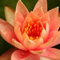 腻子要通风干还是阴干？腻子要干几天才能刷乳胶漆？