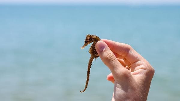 怎样才能把脾胃调理好