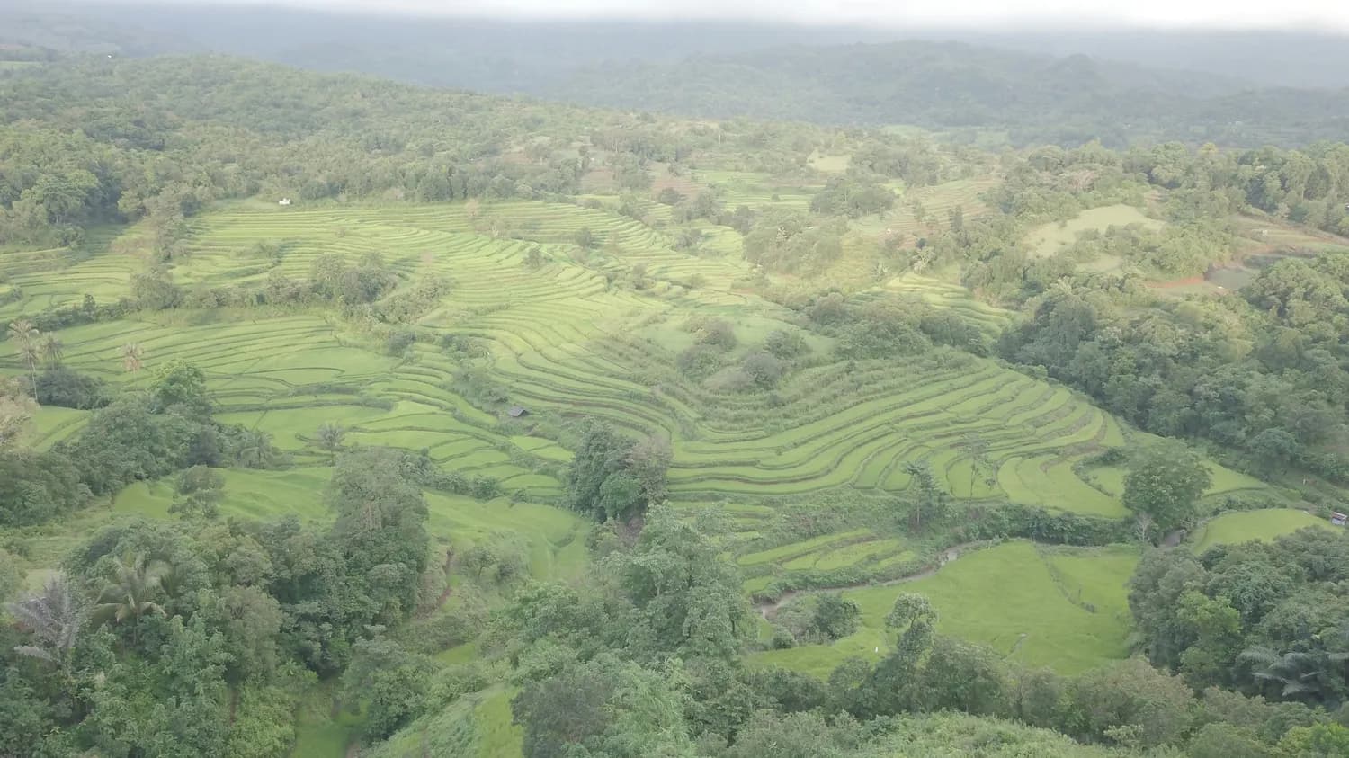 春晚效应下的西藏旅游热潮：果果塘成网红打卡地