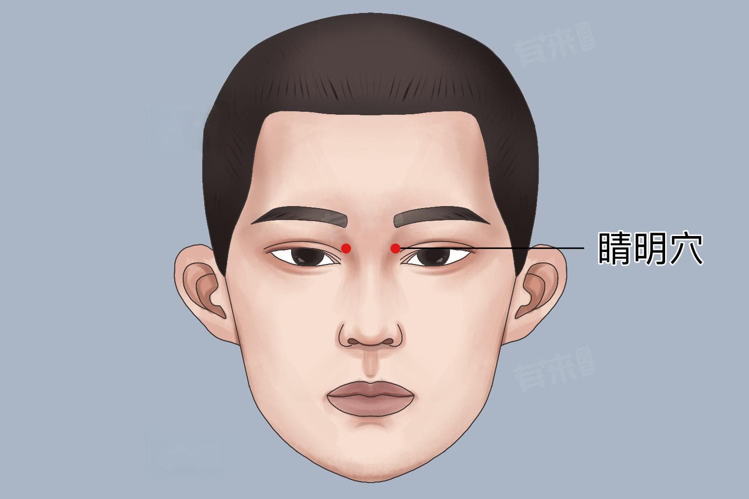 眼部的穴位：按摩这些穴位，改善视力，缓解眼部不适