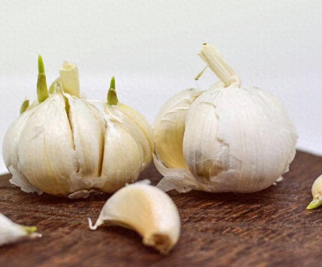 长期用大蒜“炝锅”，炒出来的菜会致癌，是真的吗？告诉你答案
